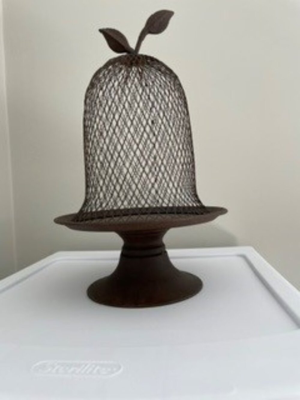 Decor- wire and metal cloche on stand